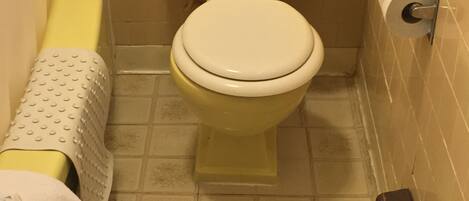 Een kleine badkamer met een geel toilet, een witte toiletrolhouder en een geel bidet.
