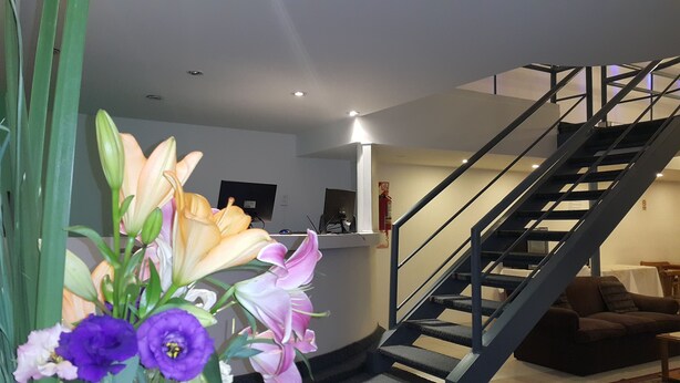 A modern interior with a staircase, a reception desk, and a plant with flowers. - Hotel Avenida (Buenos Aires)