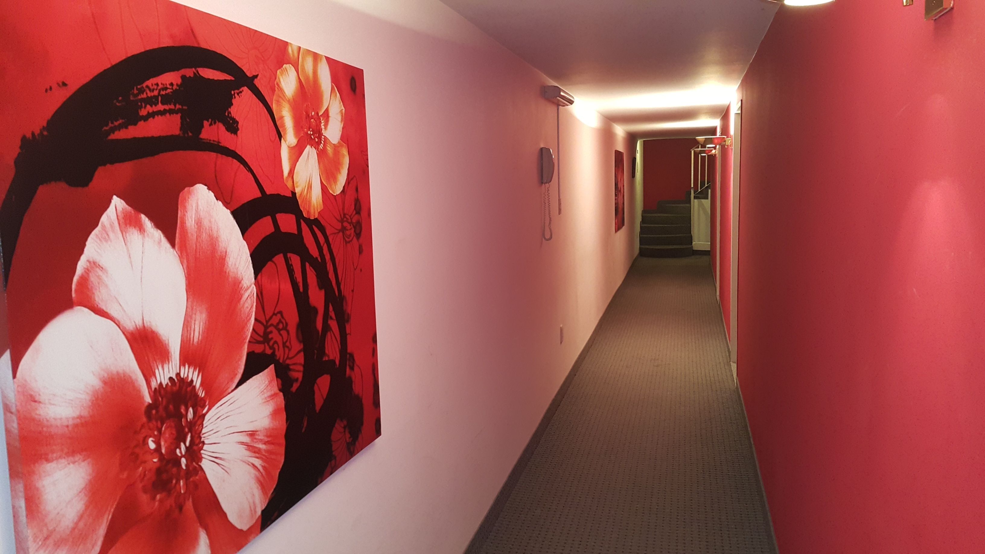 Foto - Hotel Avenida