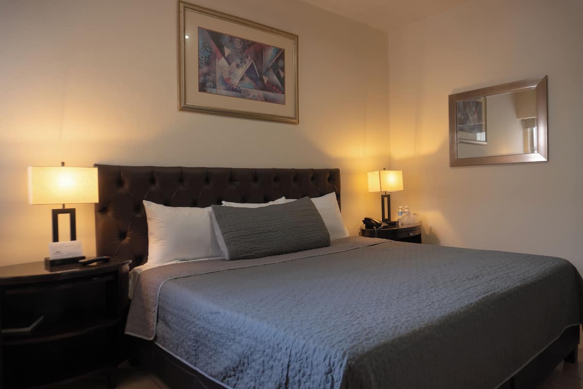 Standard Room, 1 King Bed | 1 bedroom, blackout drapes, soundproofing, free WiFi