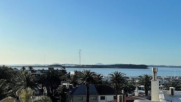 Vista costera con un puente, palmeras y un puerto deportivo.