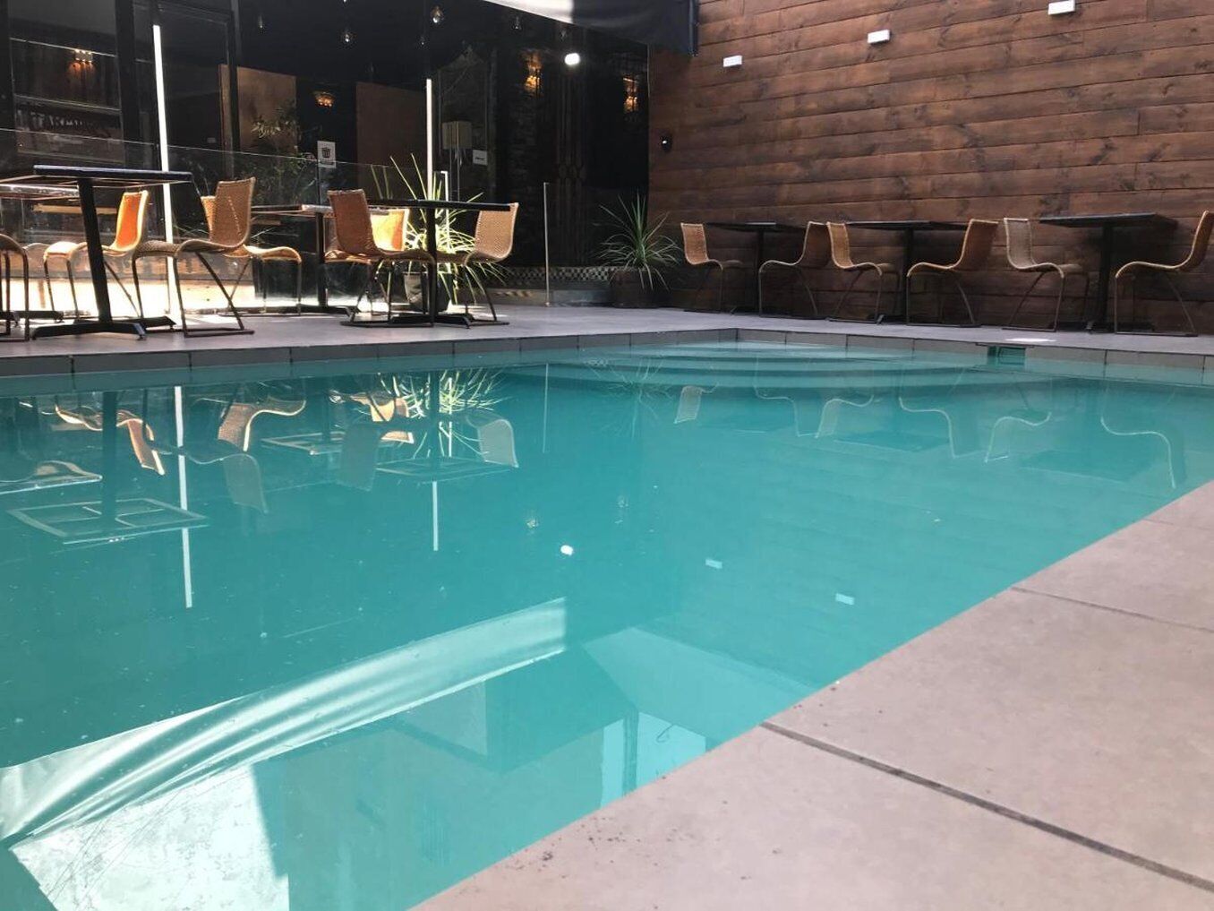 Foto - Tremo Bellas Artes