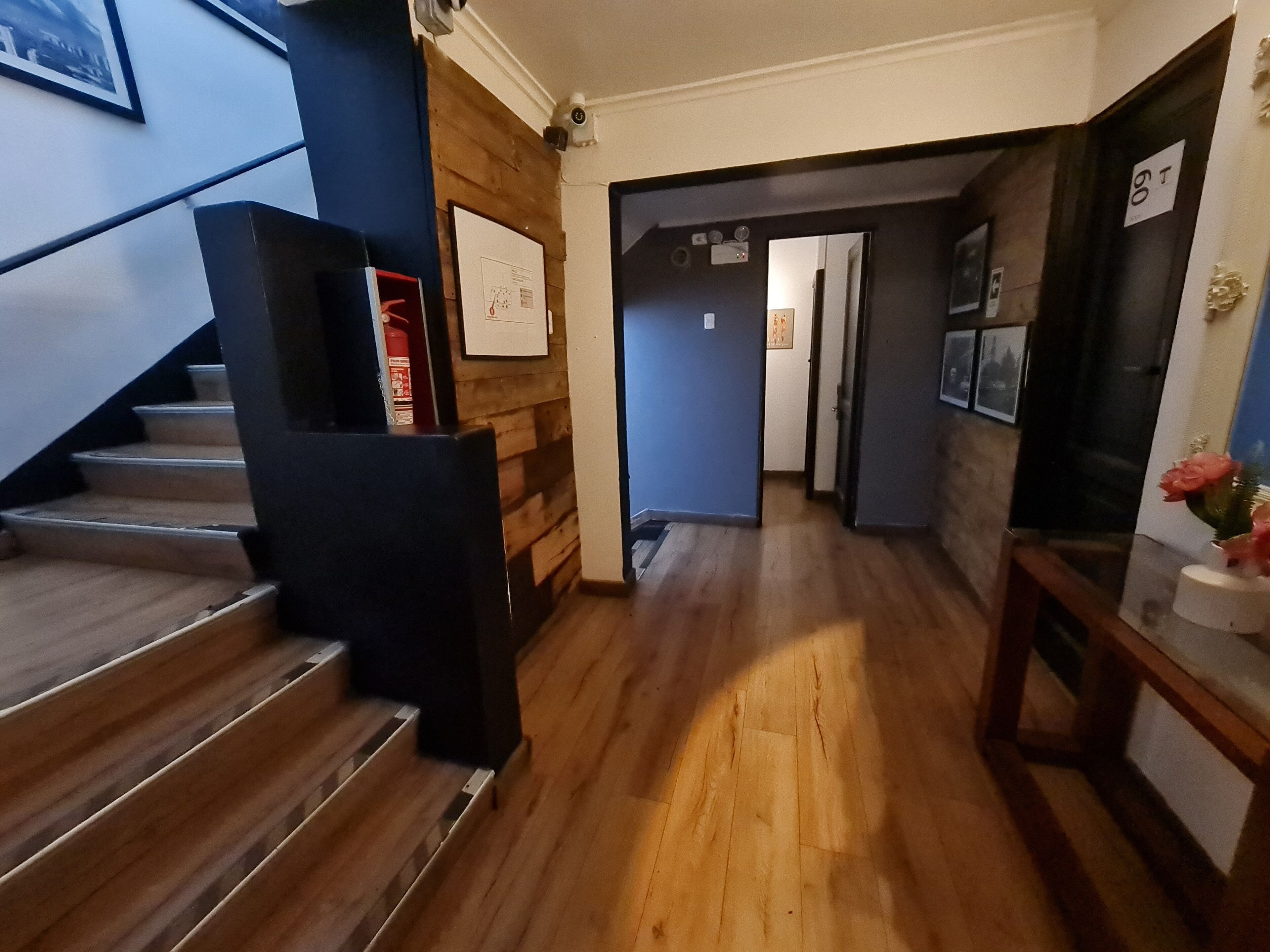 Foto - Tremo Bellas Artes