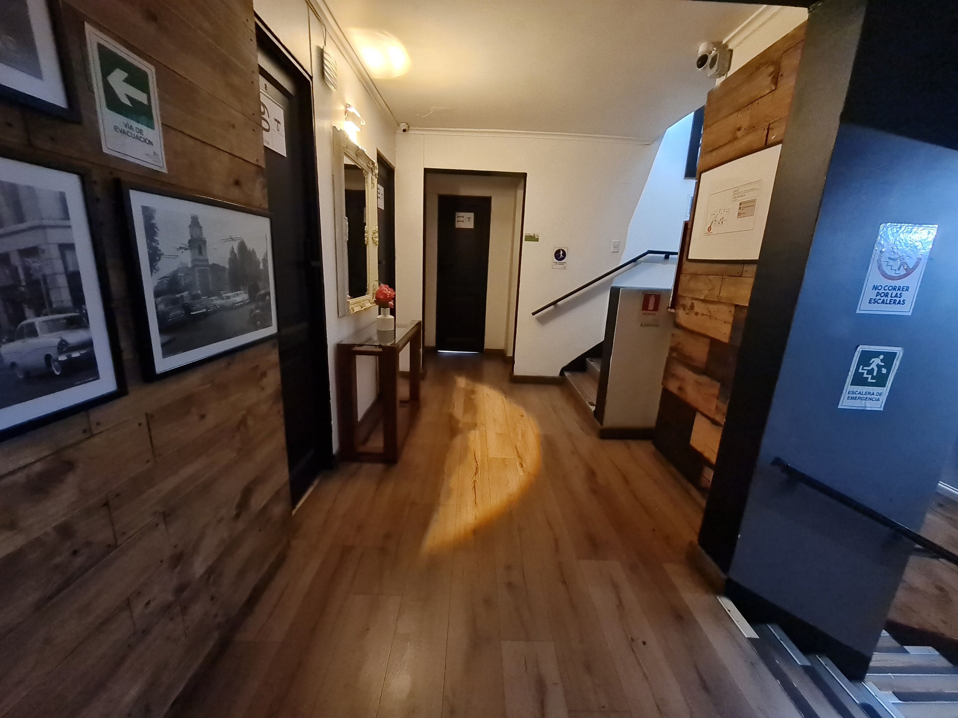 Foto - Tremo Bellas Artes