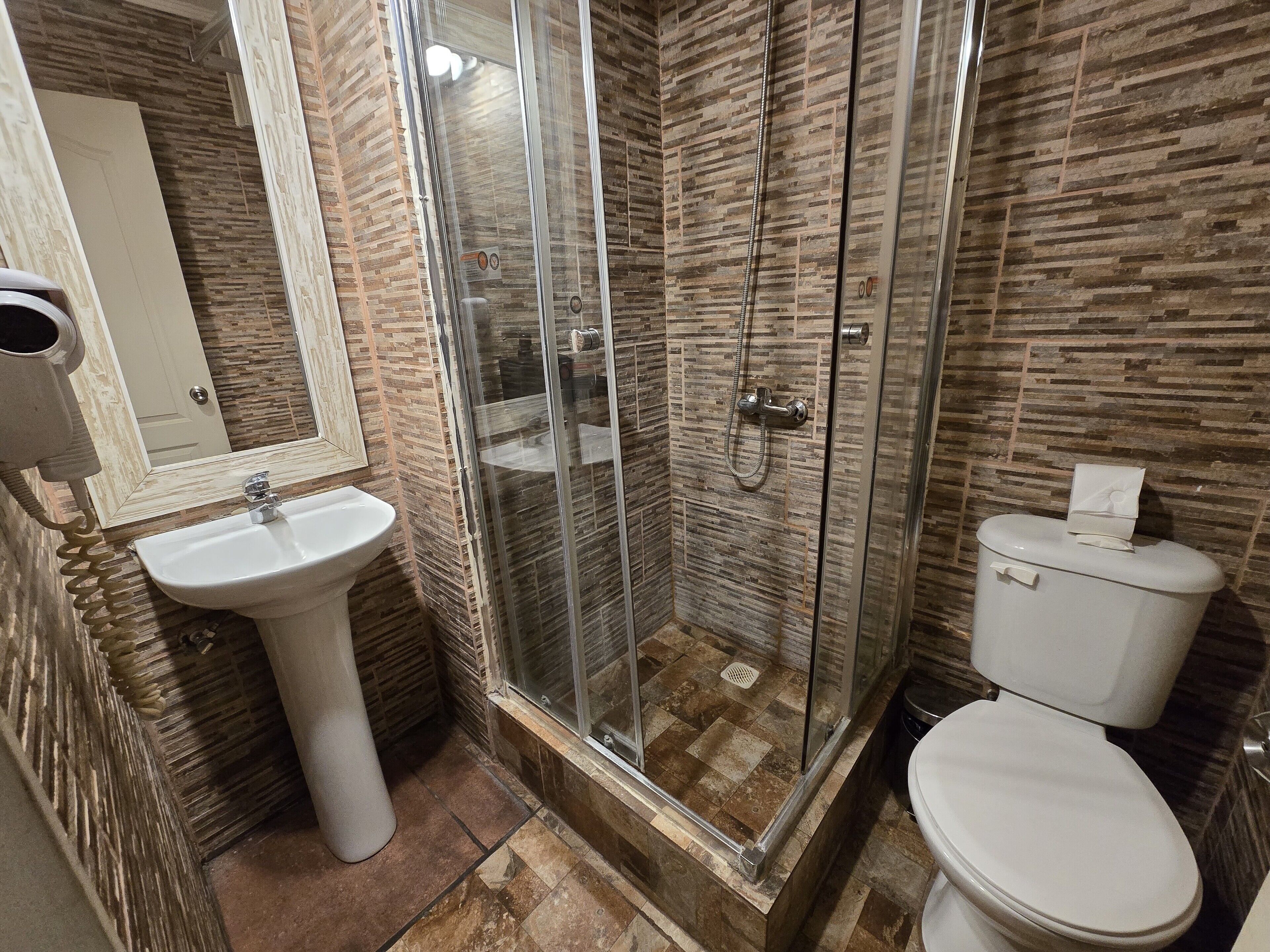 Foto - Tremo Bellas Artes