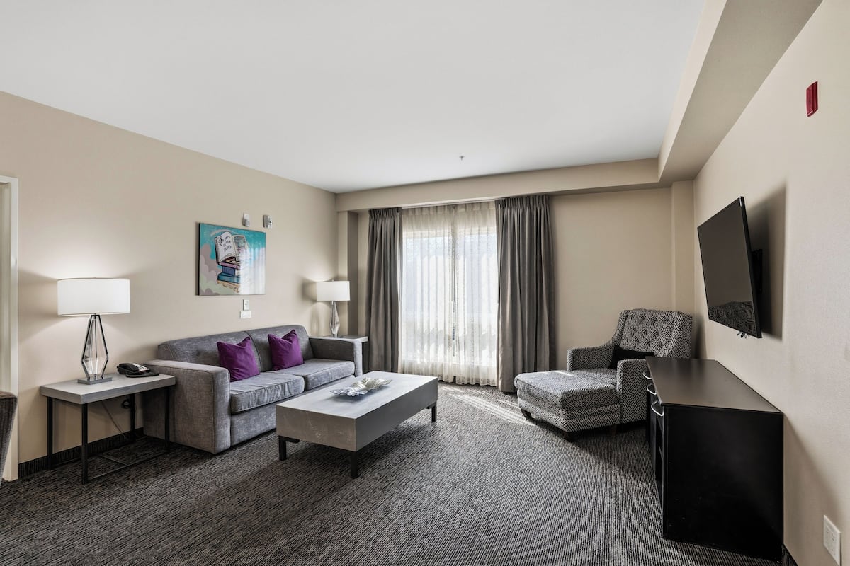 Une chambre d’hôtel avec un canapé gris, une table basse, un fauteuil à motifs, un téléviseur à écran plat et une fenêtre avec des rideaux.