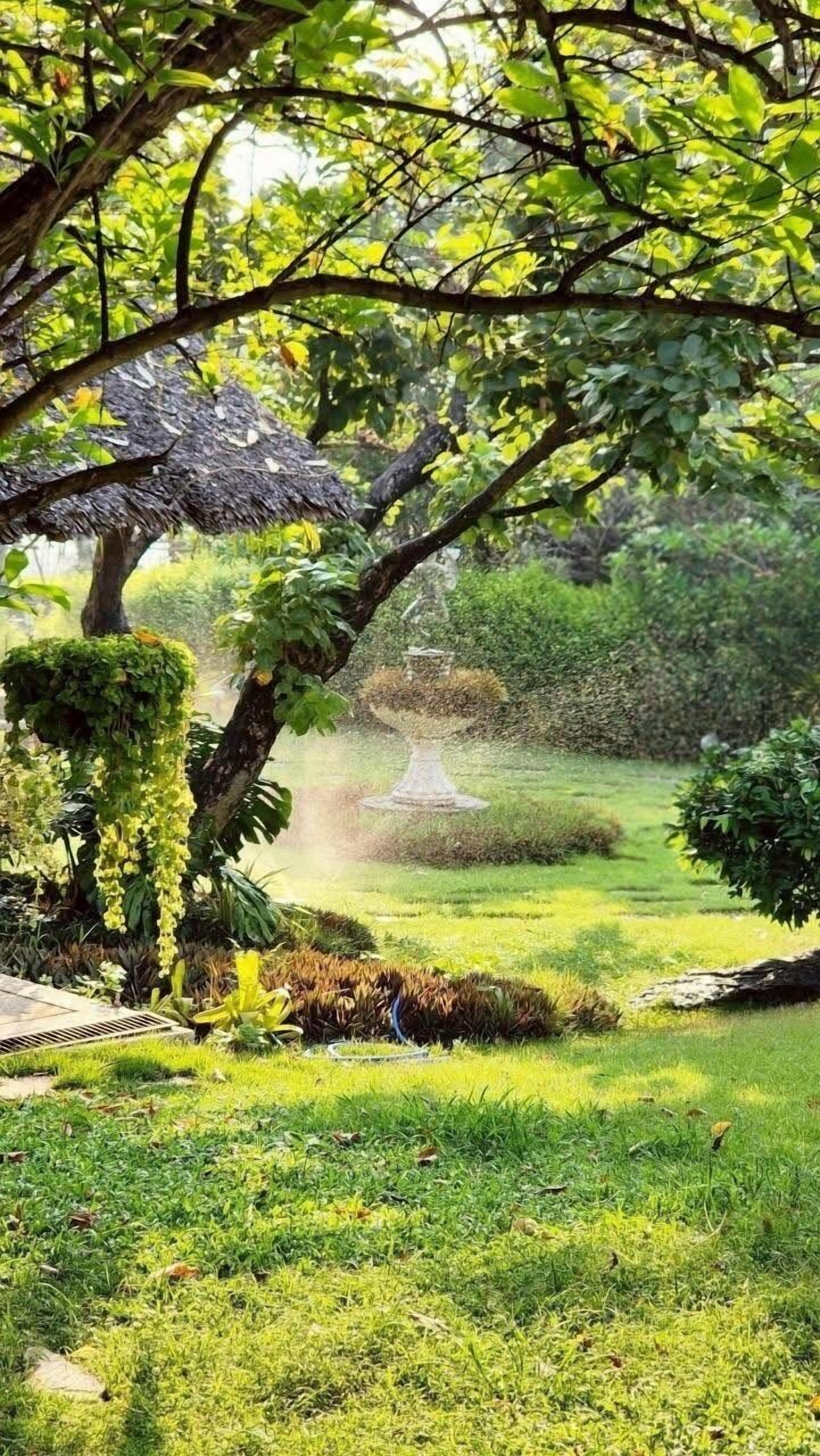 Un jardin agrémenté d’une fontaine, d’une végétation luxuriante et d’un arbre dont les lianes pendent.