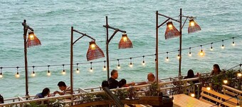 Birds and Bees Resort