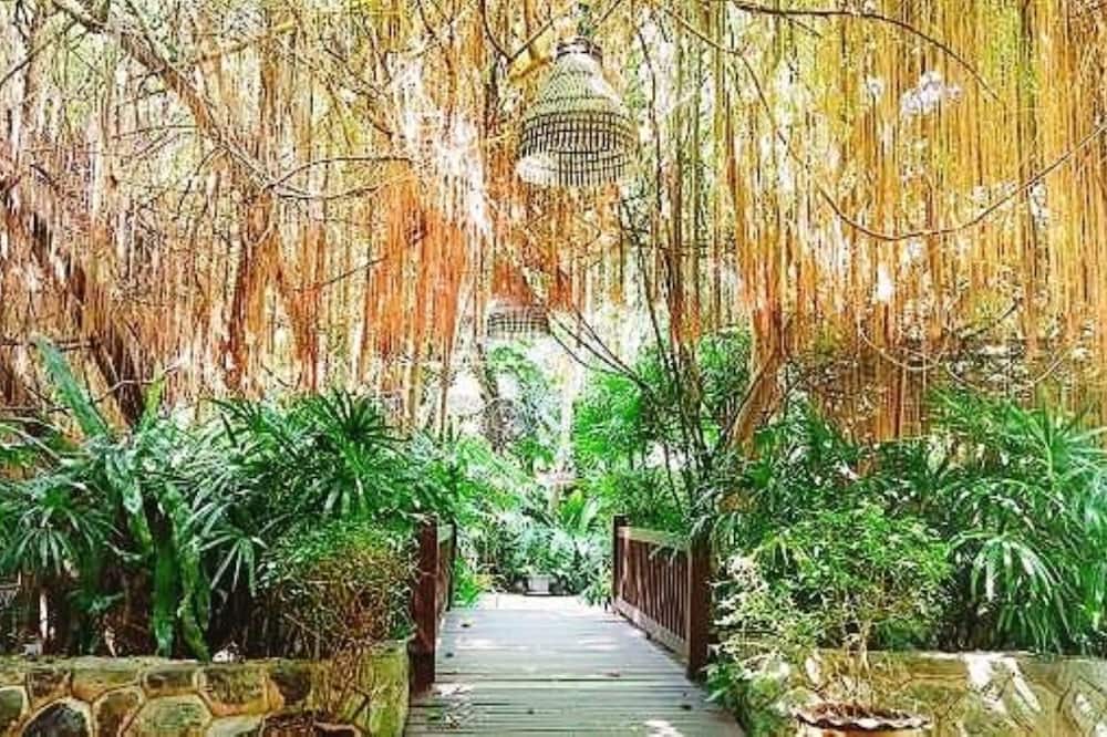 Birds and Bees Resort