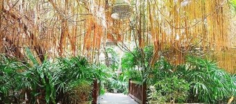 Birds and Bees Resort