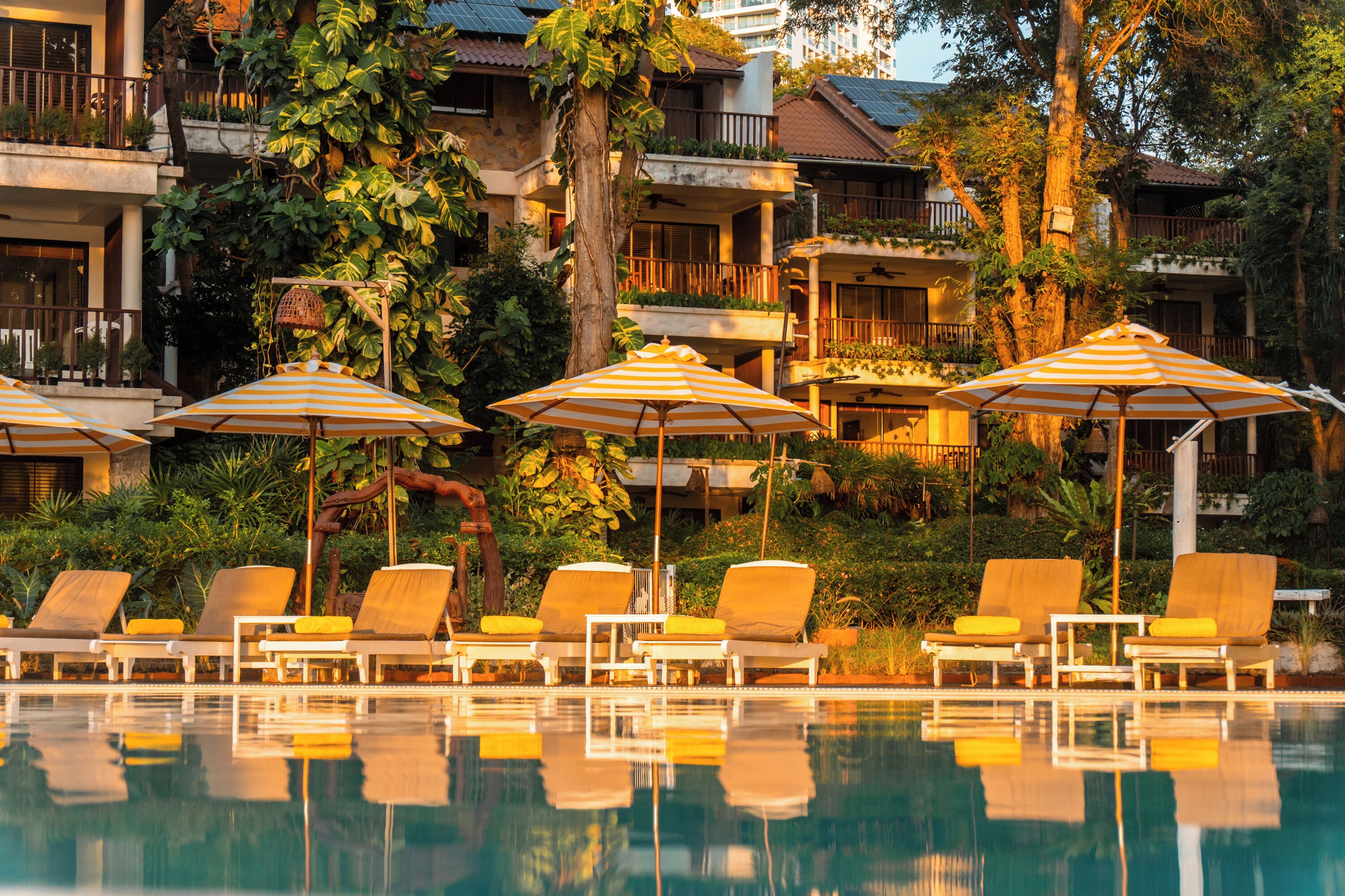 室外泳池；躺椅