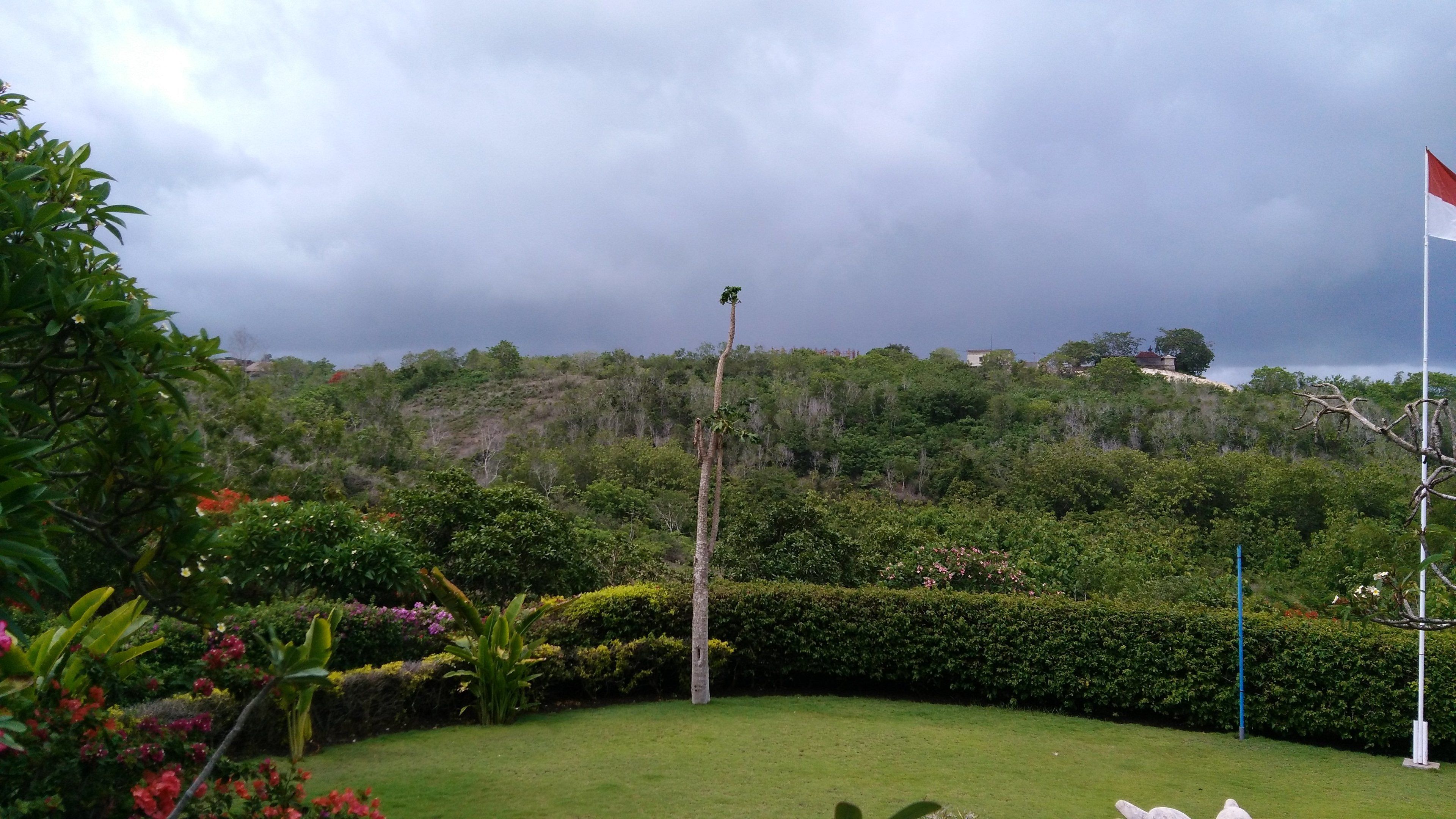 A lush garden with a flagpole, well-maintained hedges, and a variety of flowering plants.