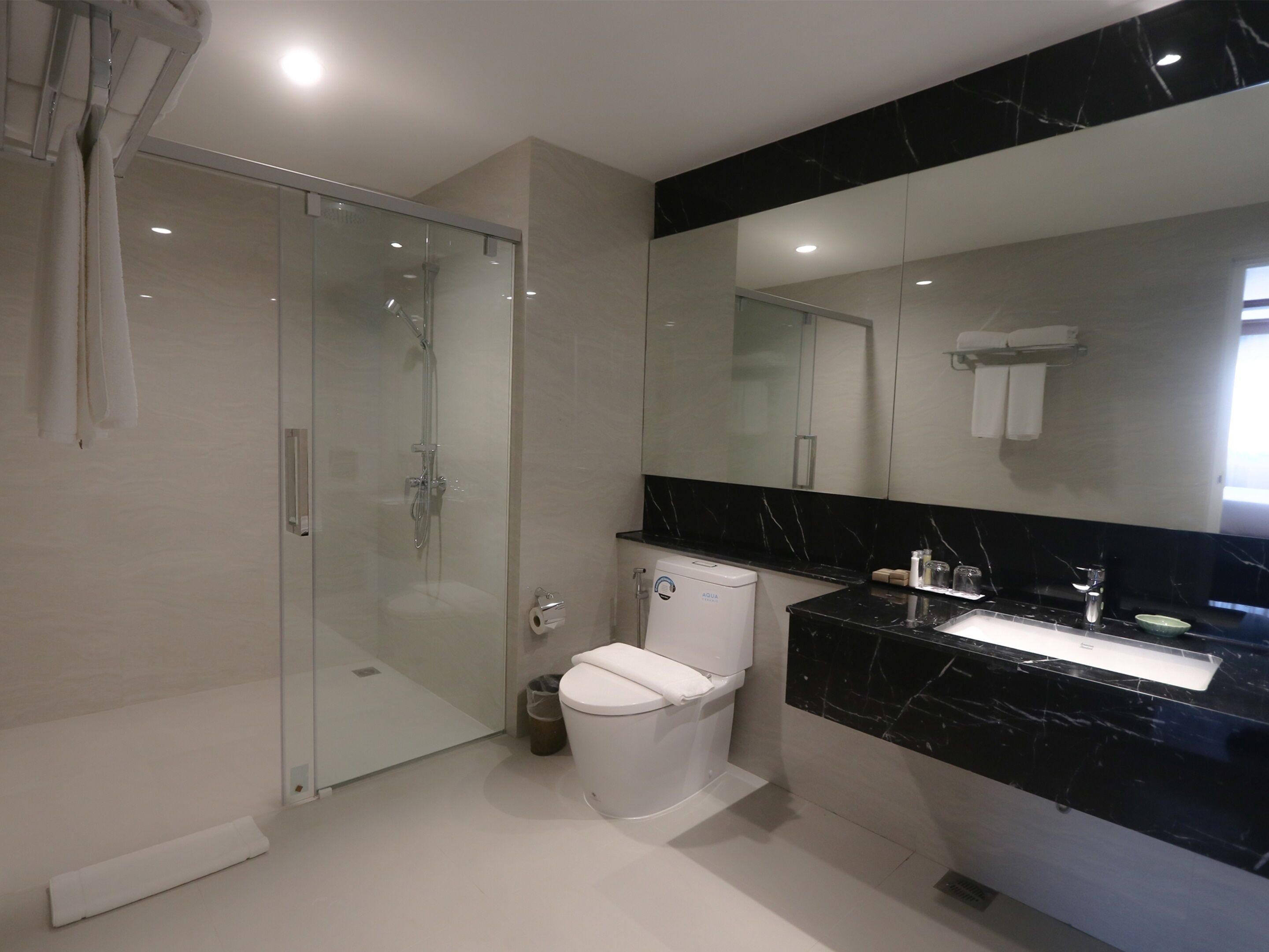 A modern bathroom with a glass-enclosed shower, a toilet, and a black marble sink.