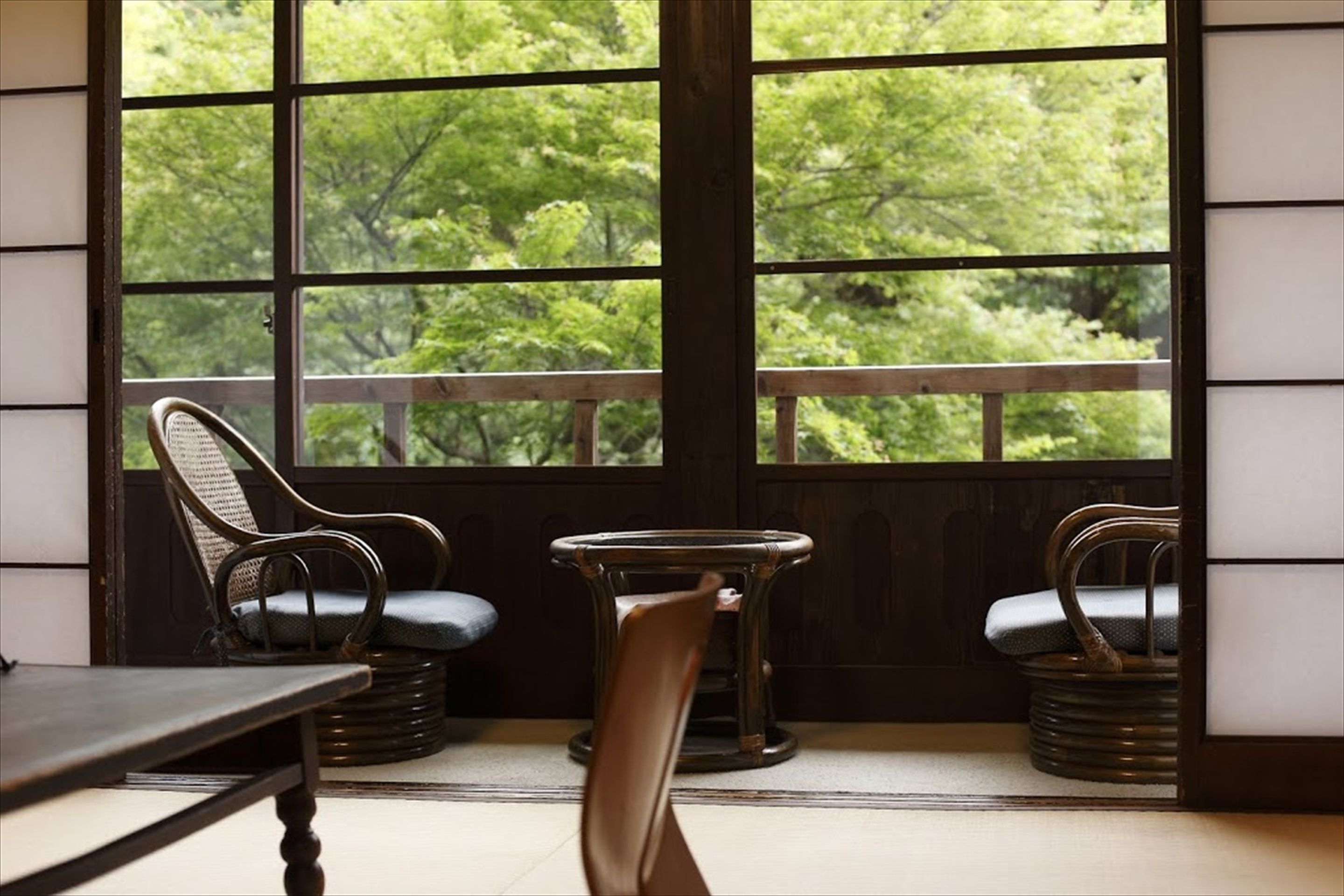 Japanese Style Twin Room, Oto | View from room