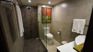 Shower, free toiletries, hair dryer, towels
