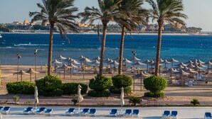 A poolside area with lounge chairs and umbrellas, a palm tree-lined beach in the background, and a clear view of the sea.