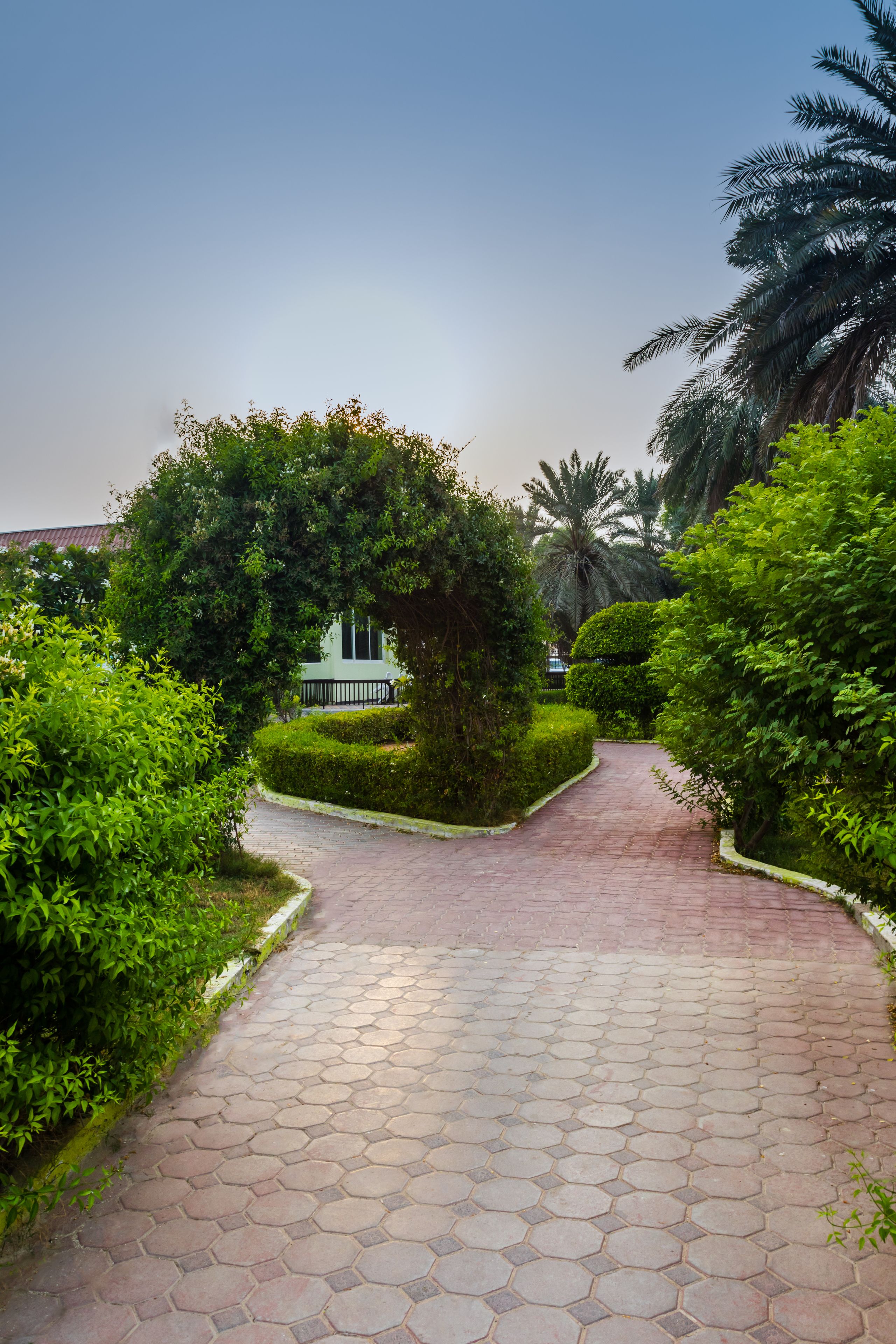 حديقة