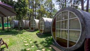 Una hilera de casas árbol cilíndricas con ventanas amplias, unidas por un paseo techado.