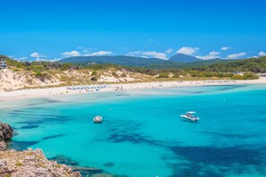 位於海灘上、白沙