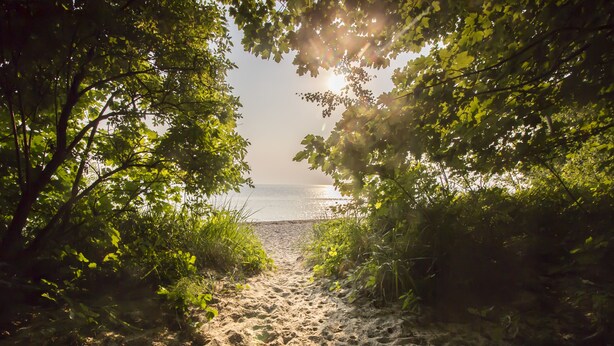 Strand