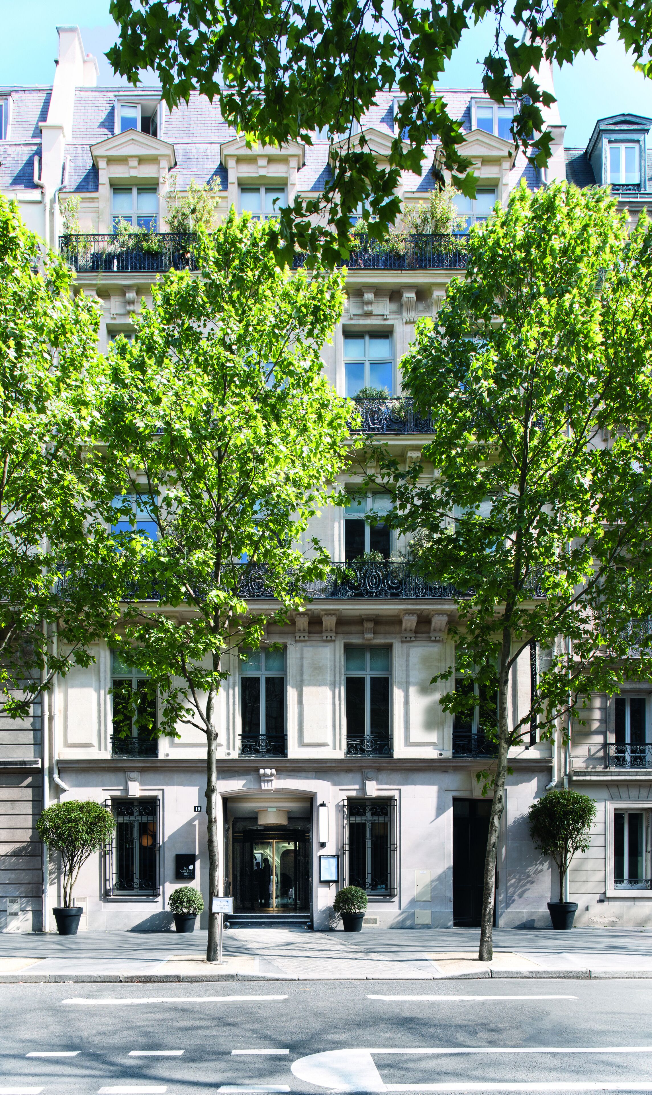 Foto - Le Narcisse Blanc