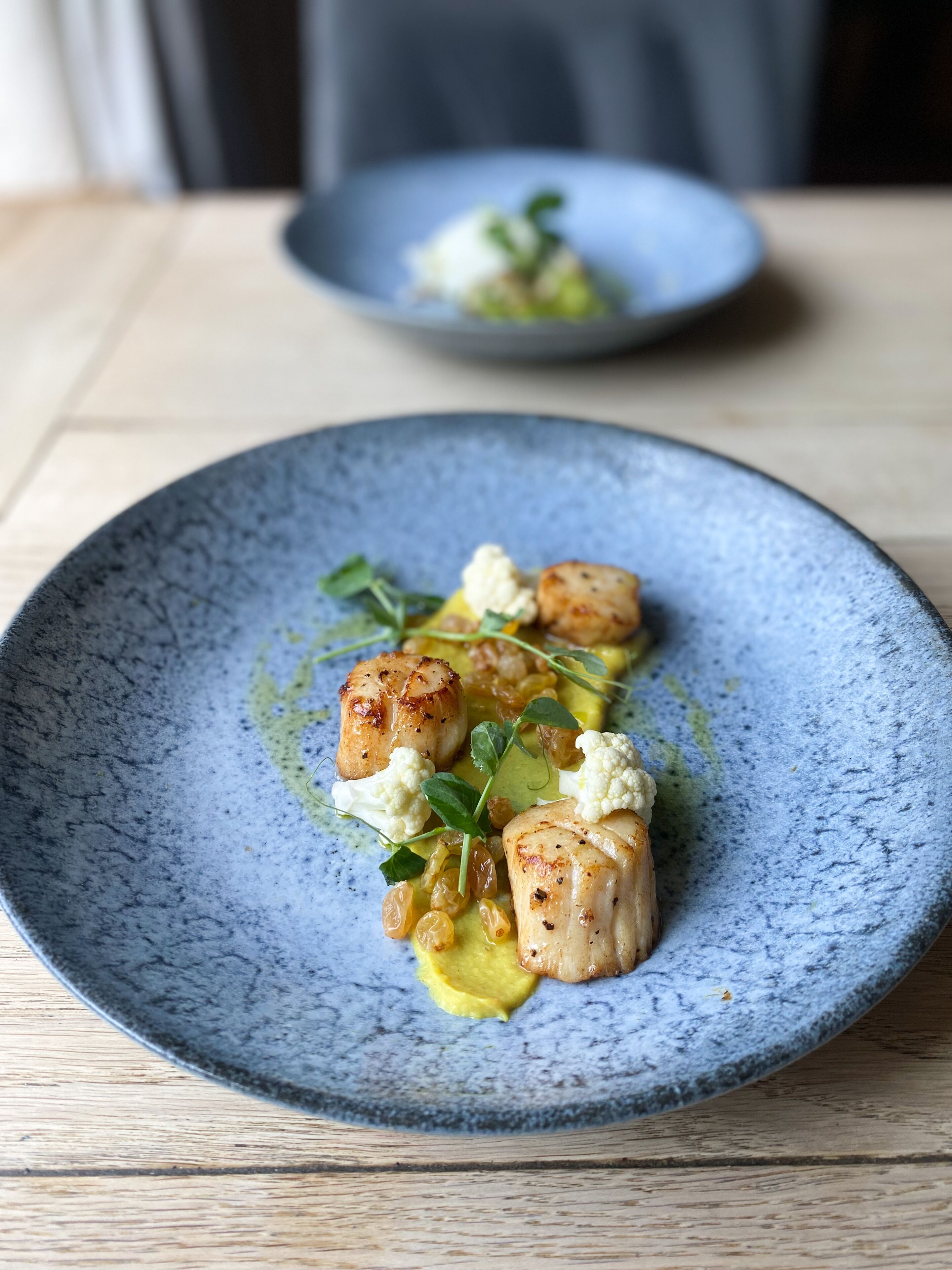 A plate of food with seared scallops, cauliflower, and a yellow sauce, served on a blue ceramic plate.