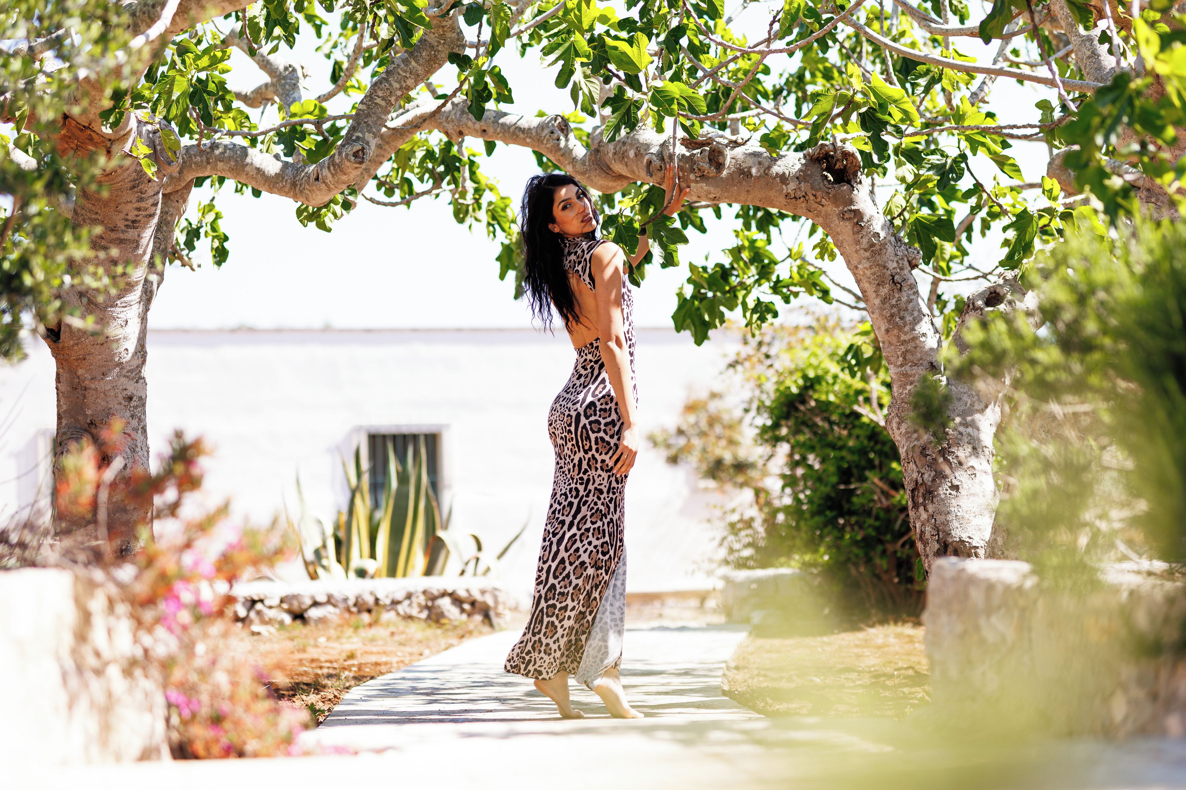 A person standing under a tree with a pathway leading to a building.