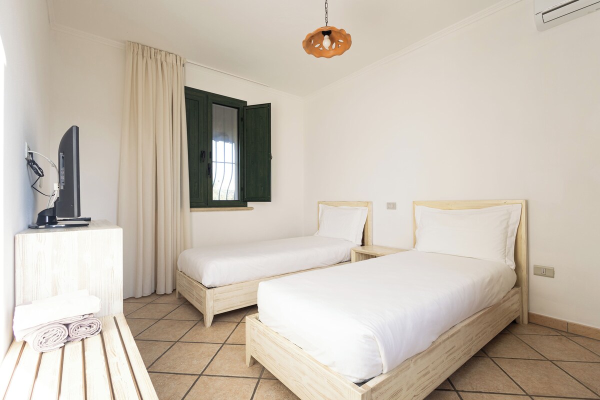 Une chambre avec deux lits en bois, un téléviseur posé sur un meuble, un bureau avec une chaise et une fenêtre avec des rideaux.