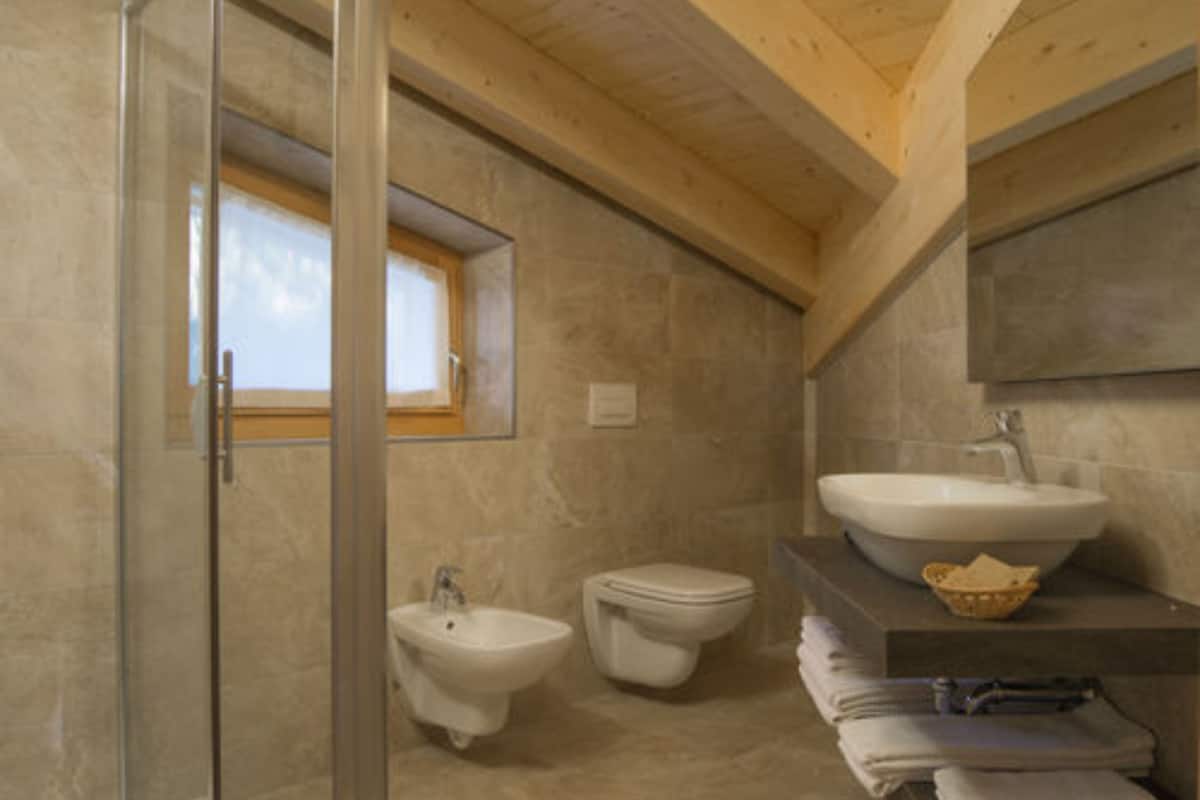 shower, hair dryer, bidet, towels