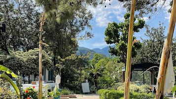 Jardín