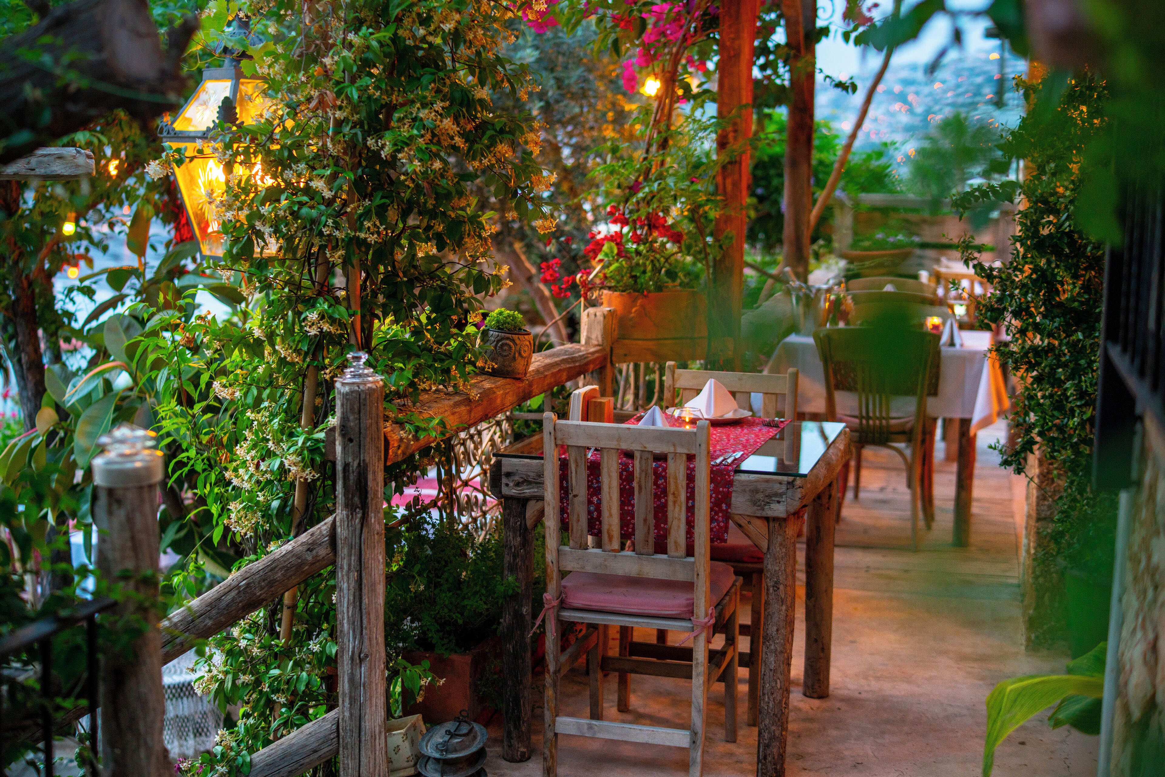 A rustic outdoor dining area with wooden furniture and potted plants.