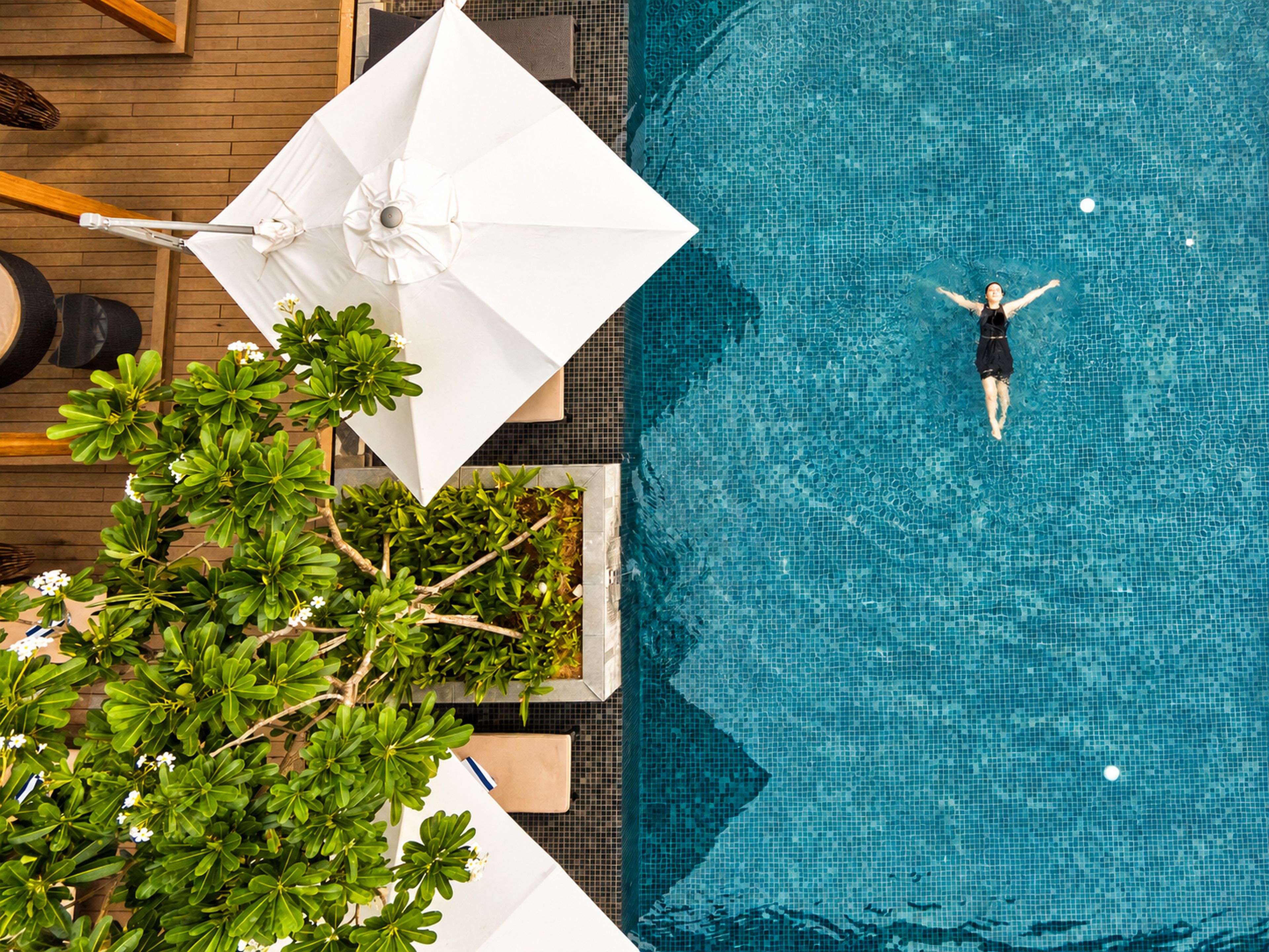 A swimming pool with a person floating, surrounded by greenery and umbrellas.