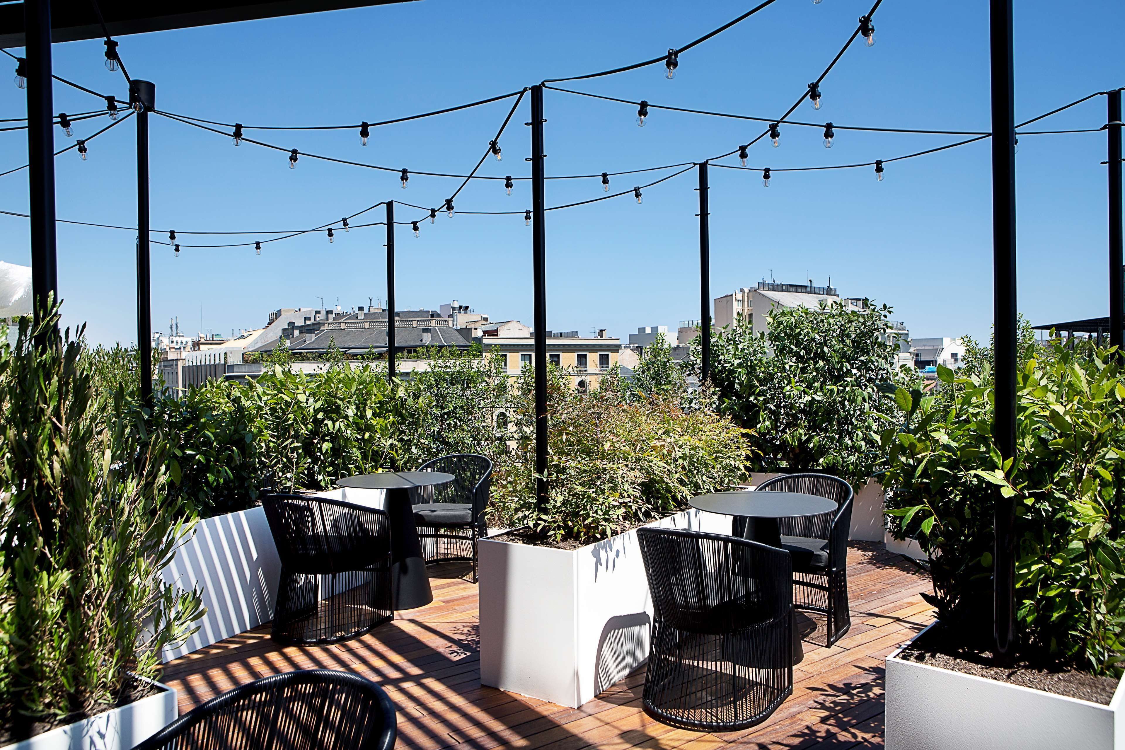 4 nhà hàng, phục vụ bữa sáng, bữa trưa, món ăn phong cách Âu hiện đại 