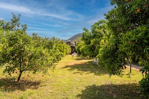 Jardín