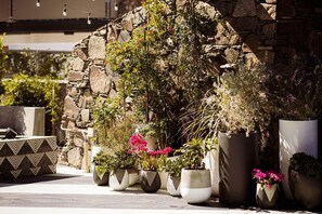 Un muro de piedra con plantas en macetas y un banco de diseño geométrico.