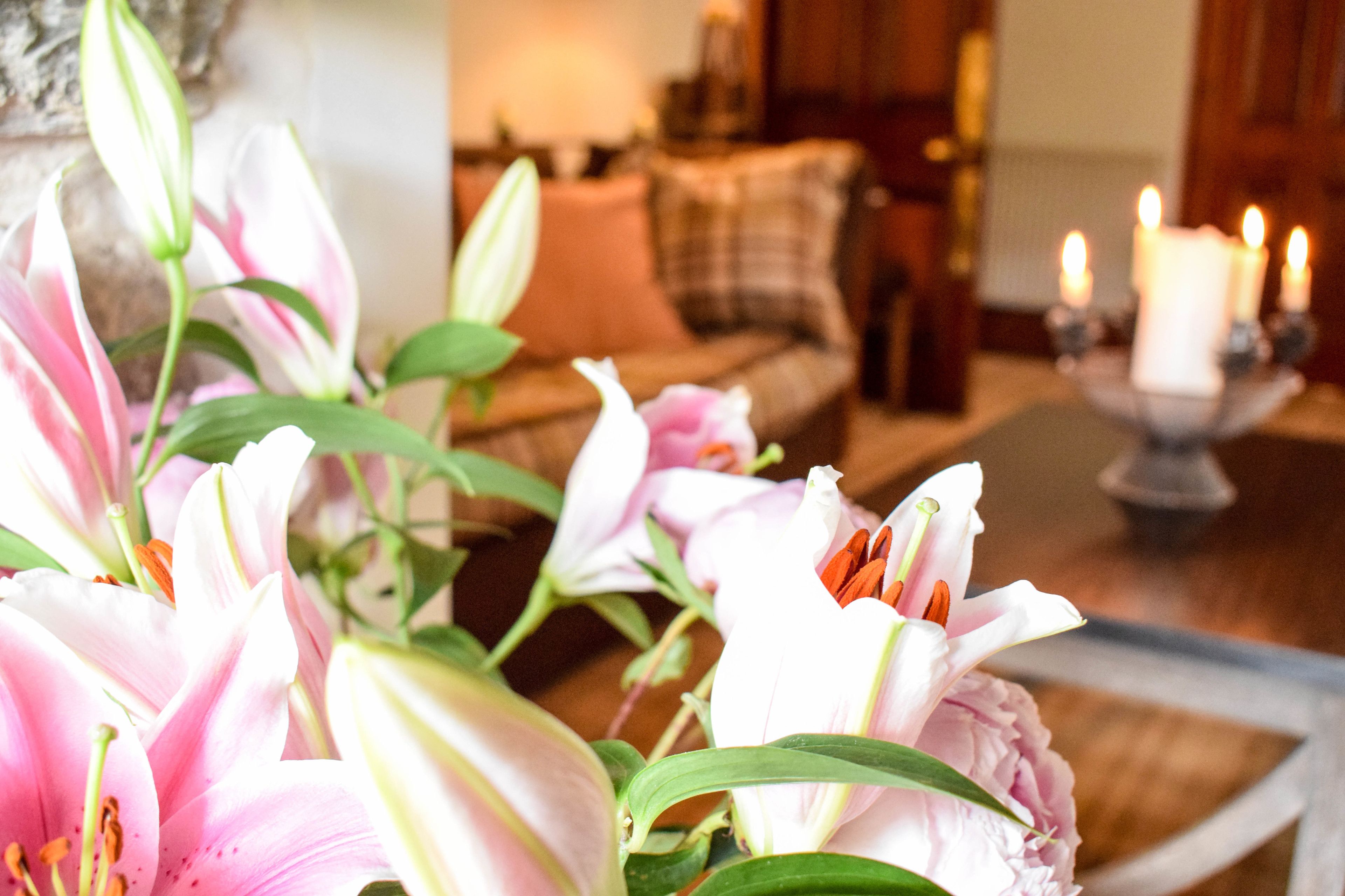 Foto - Craigmhor Lodge & Courtyard