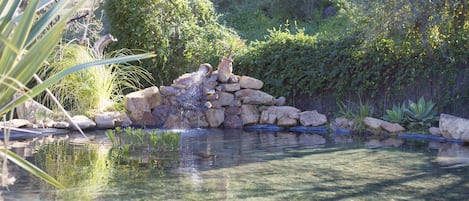 Jardim