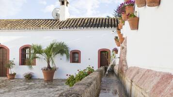Teras/patio