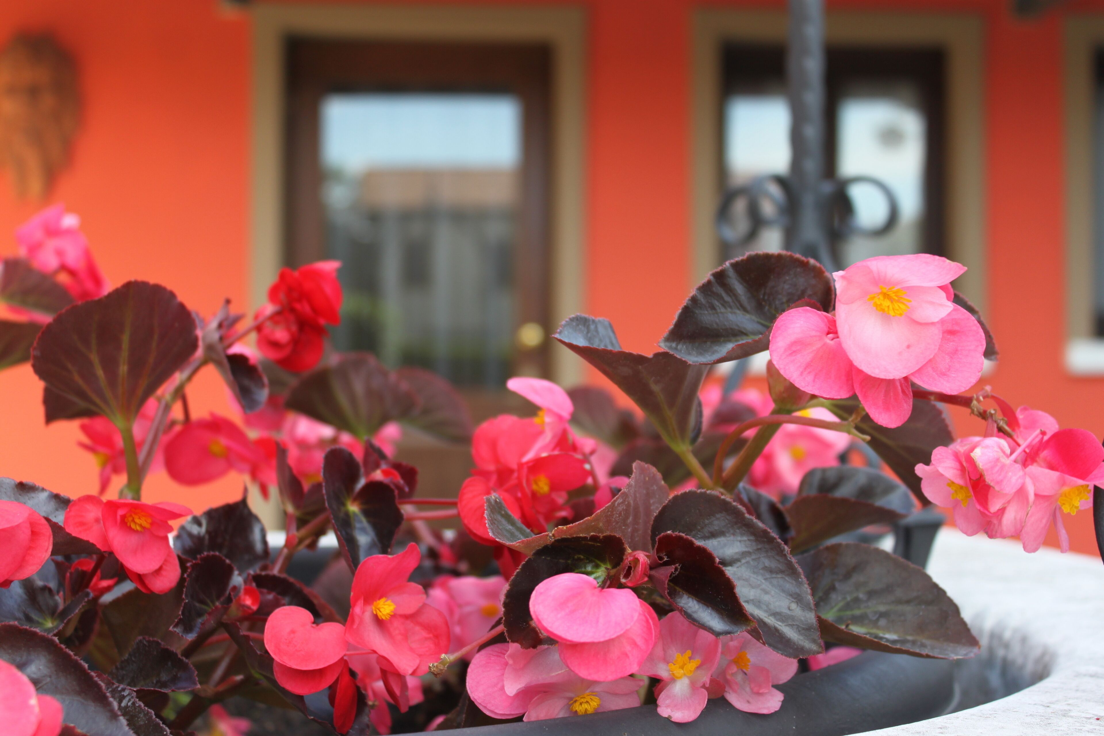 economy double or twin room, annex building | 1 bedroom, premium bedding, minibar, in-room safe