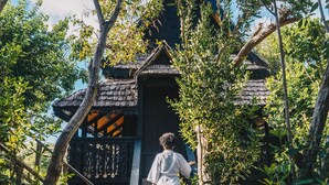 A wooden staircase leading to a traditional building surrounded by trees. - Zemi Beach House, LXR Hotels & Resorts (Shoal Bay)