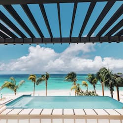 Relax by the pool surrounded by palm trees and a serene ocean view.