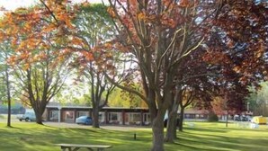 A picnic table in a grassy area with trees and a building in the background. - Trenton Park Motel (Quinte West)