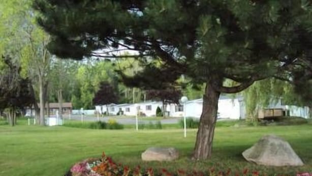 A residential area with a large tree, a flower bed, and a white house in the background. - Trenton Park Motel (Quinte West)