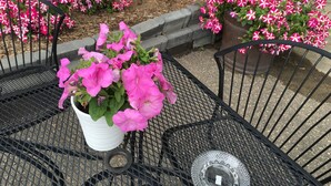 A garden with pink flowers and a metal table. - Dockside Inn (Cold Lake)