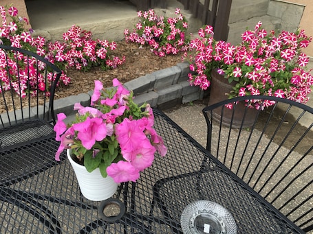 Porch