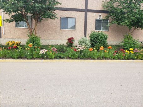 A building with a textured facade, windows with blinds, and a flower bed with various plants and flowers along the sidewalk.