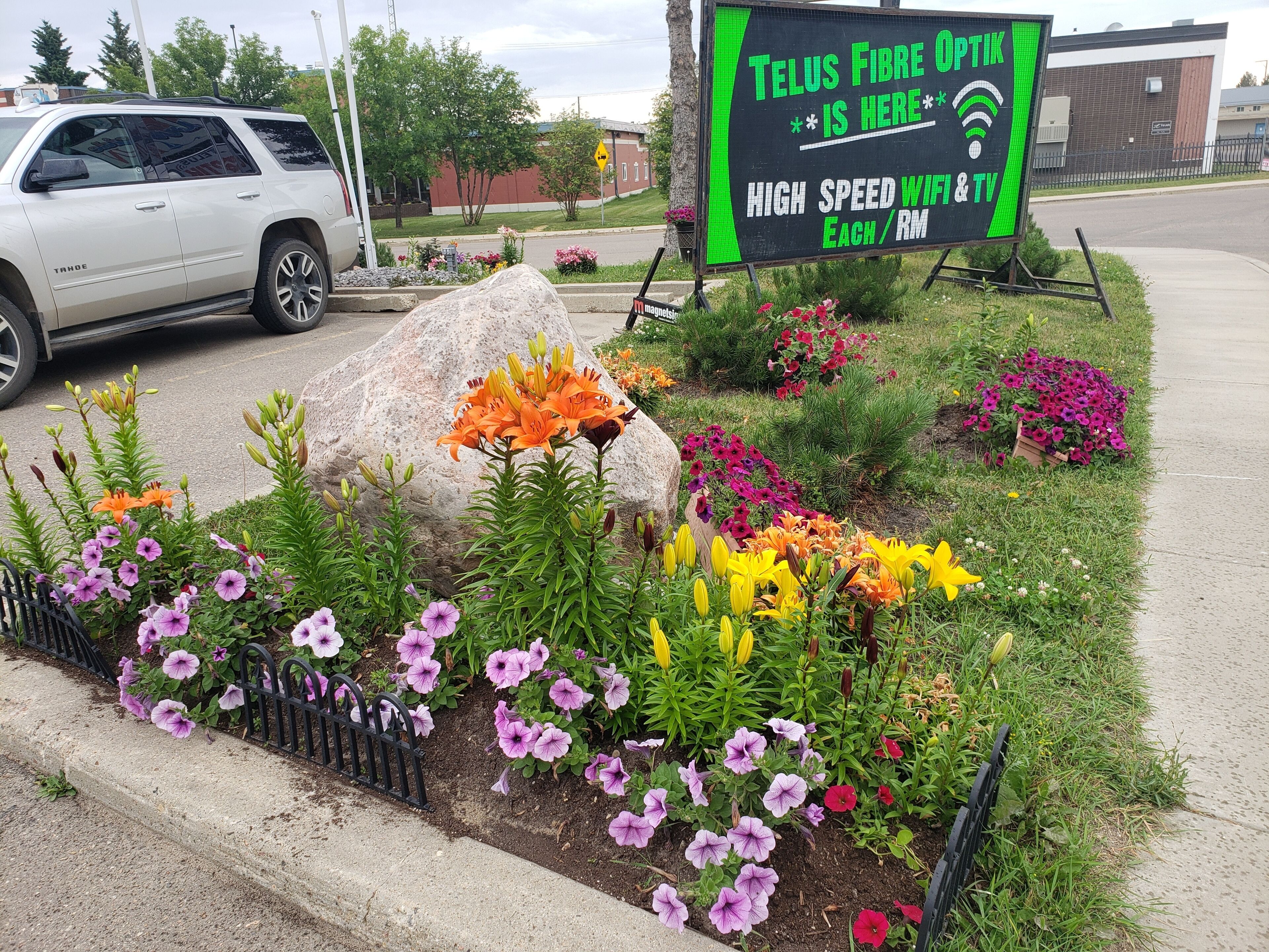 Ein Schild wirbt für Telus Glasfaser-Dienste, umgeben von einem Blumenbeet mit bunten Blumen und einem parkenden Auto.