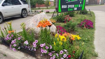 Ein Schild wirbt für Telus Glasfaser-Dienste, umgeben von einem Blumenbeet mit bunten Blumen und einem parkenden Auto.