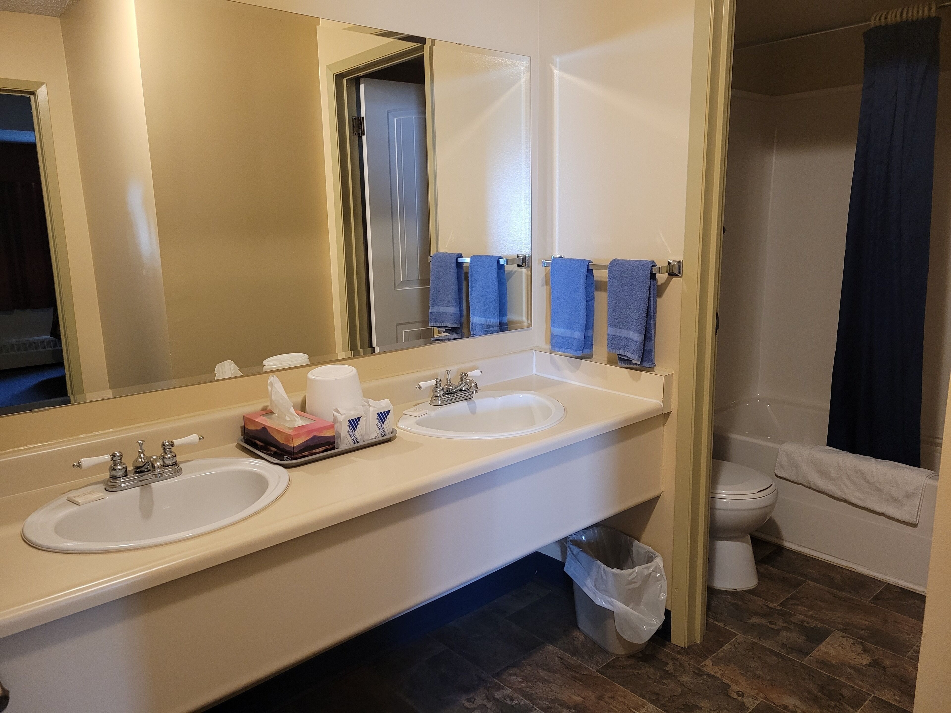 A bathroom with two sinks, a mirror, and a toilet.