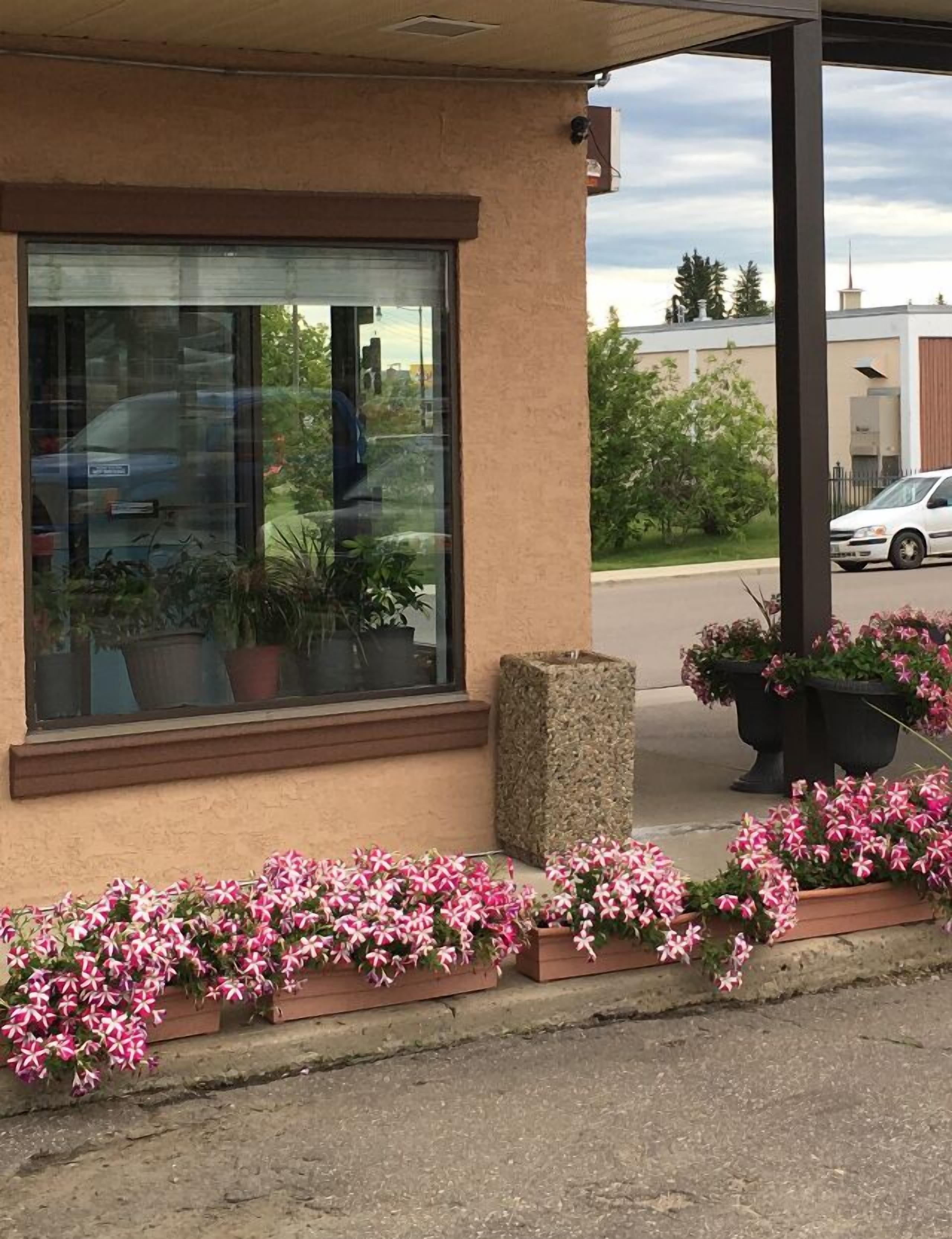 Un edificio con un ventanal grande, plantas en macetas y parterres florales.